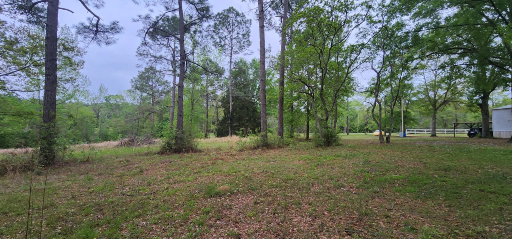 24407 Patterson Road Robertsdale, AL 36567 - Photo 4 of 18 Yard