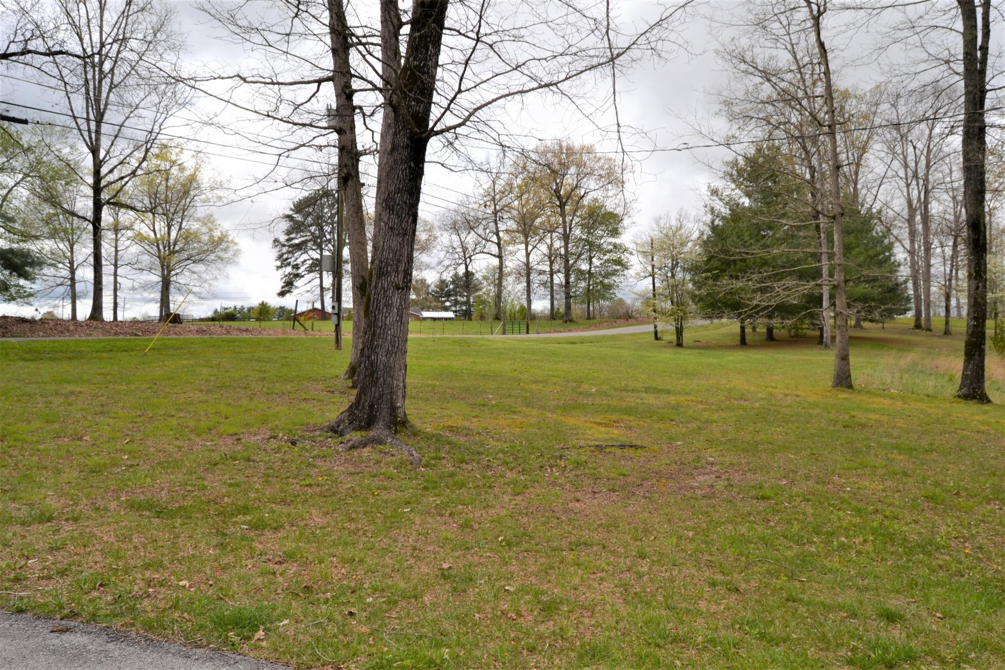91 Leffle Webb Road Crossville, TN 38572 - Photo 24 of 28 Gallery Image 24