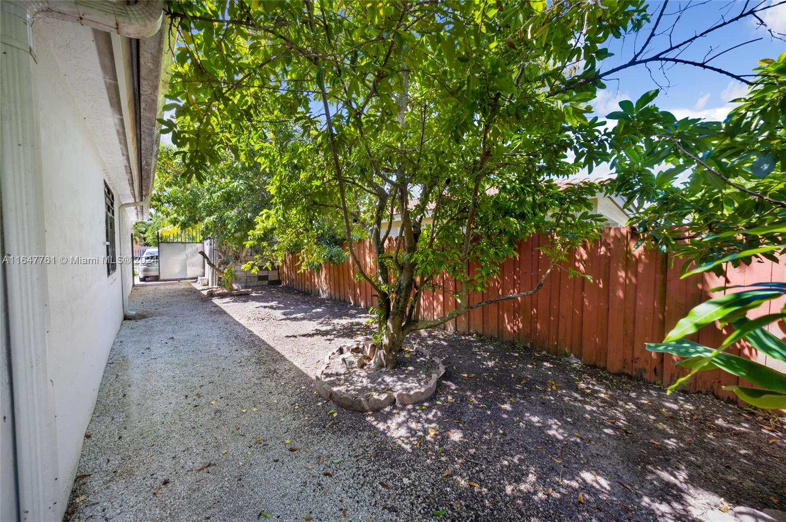 12431 Southwest 220th Street Miami, FL 33170 - Photo 32 of 34 a view of a backyard with plants and large trees
