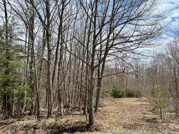 $45,000 | 391 North Carlshend Road, Skandia, MI 49885