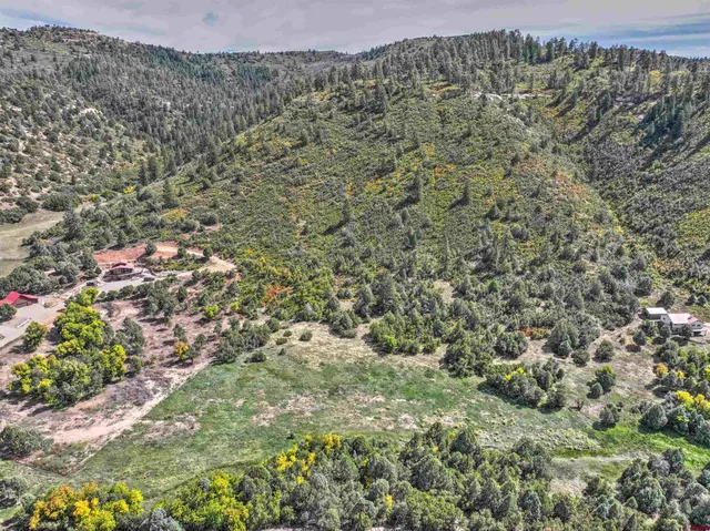 a view of a lush green field