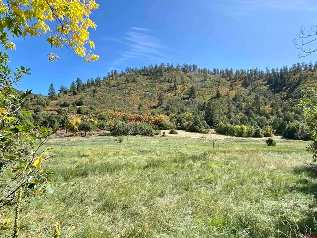a view of a field with an trees