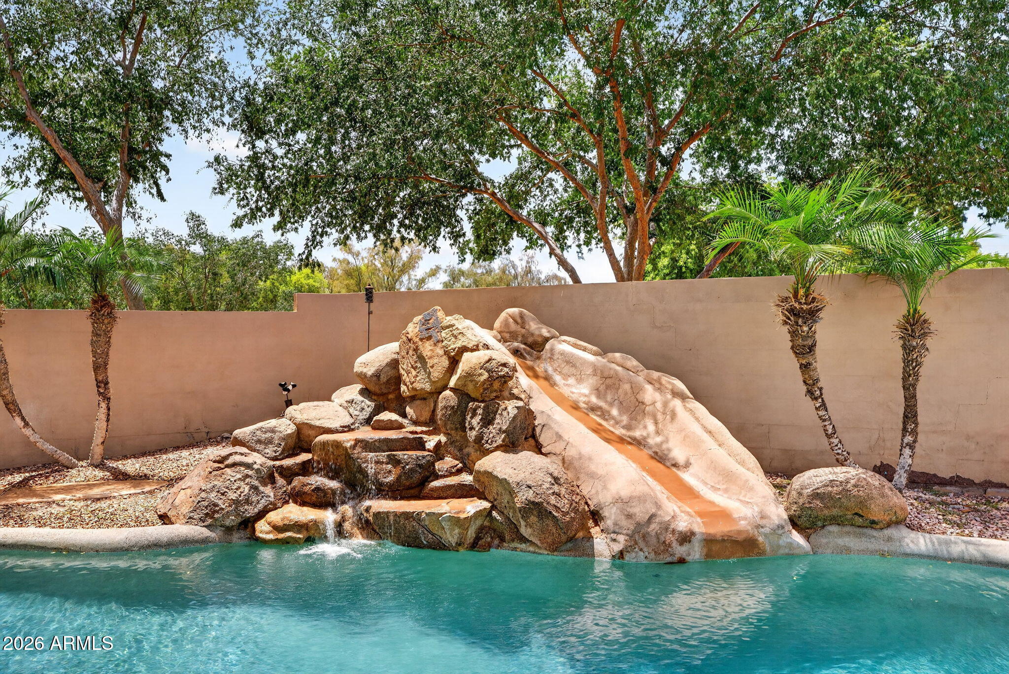 6280 South Sinova Court Gilbert, AZ 85298 - Photo 53 of 64 a view of a backyard with plants and a tree