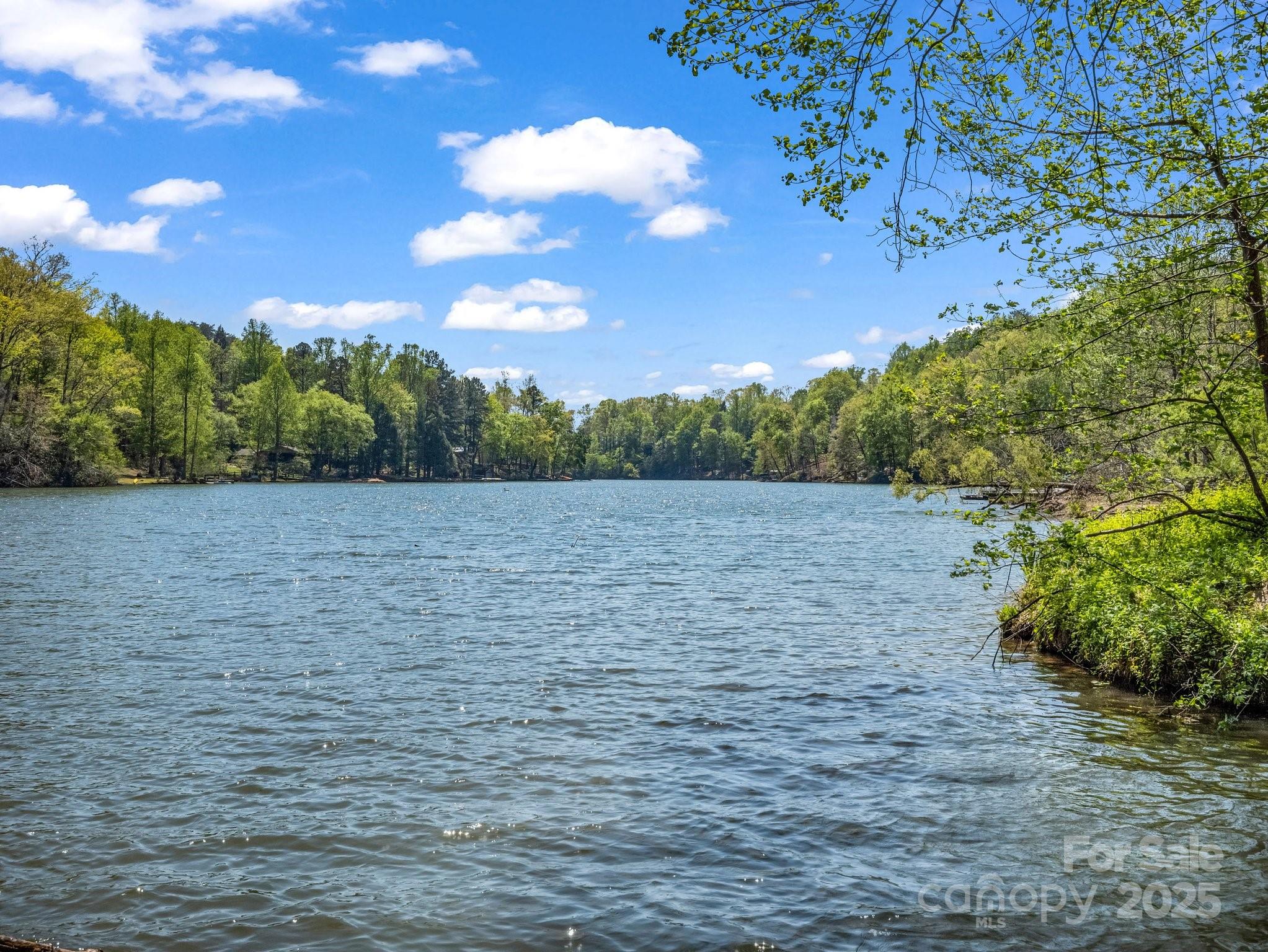 1973 Buffalo Creek Road Lake Lure, NC 28746 - Photo 2 of 44
