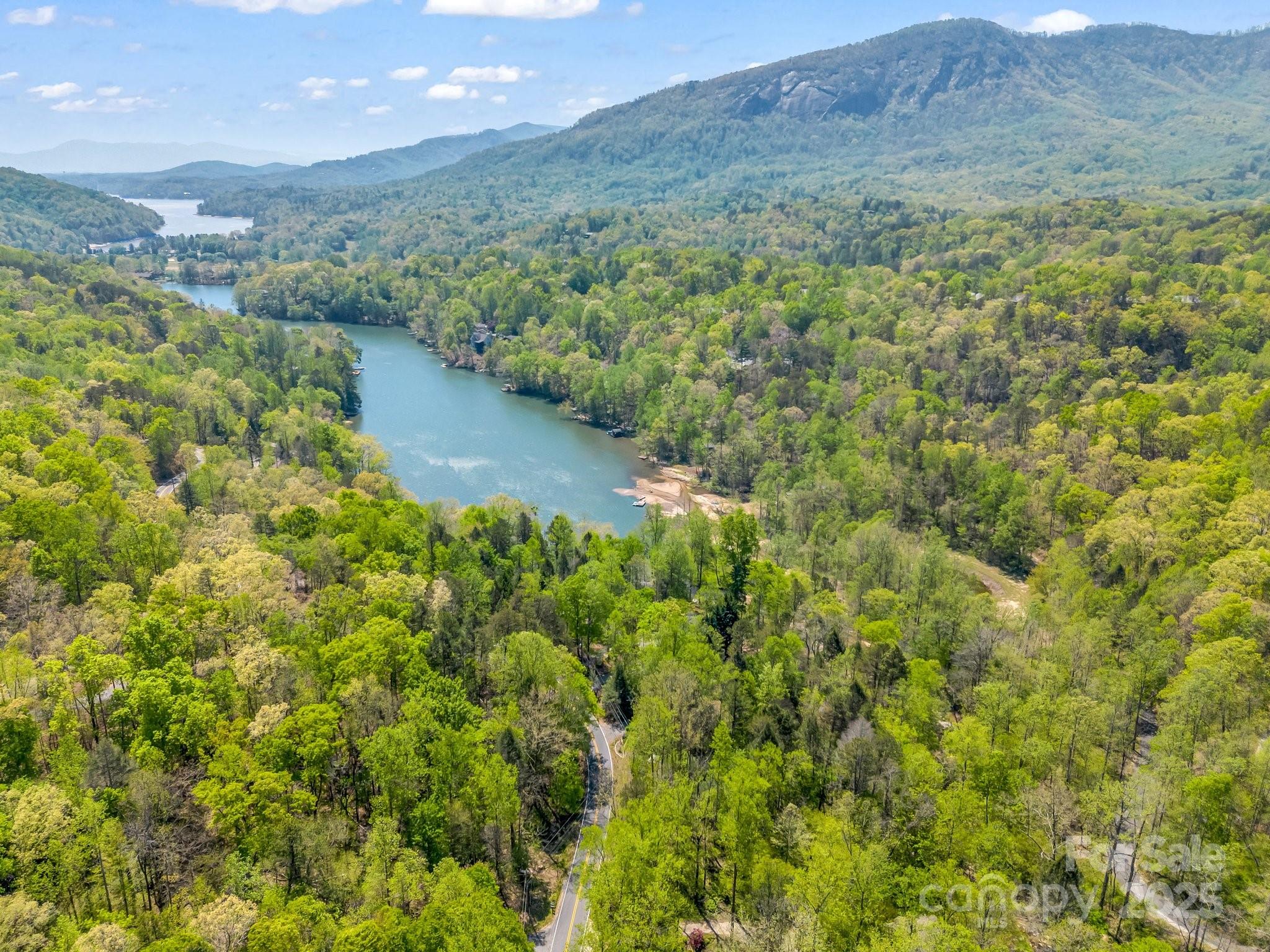 1973 Buffalo Creek Road Lake Lure, NC 28746 - Photo 4 of 44