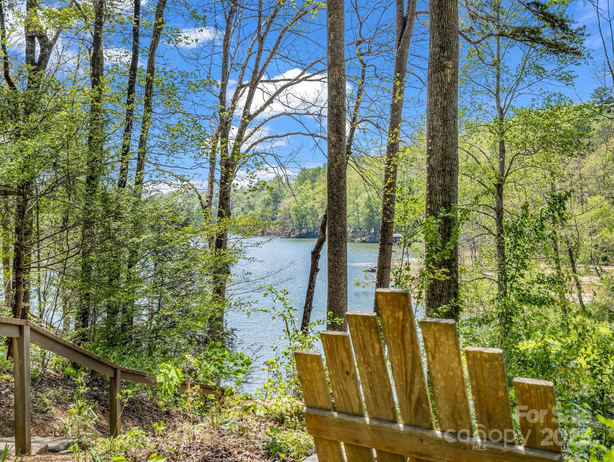 1973 Buffalo Creek Road Lake Lure, NC 28746 - Photo 5 of 44