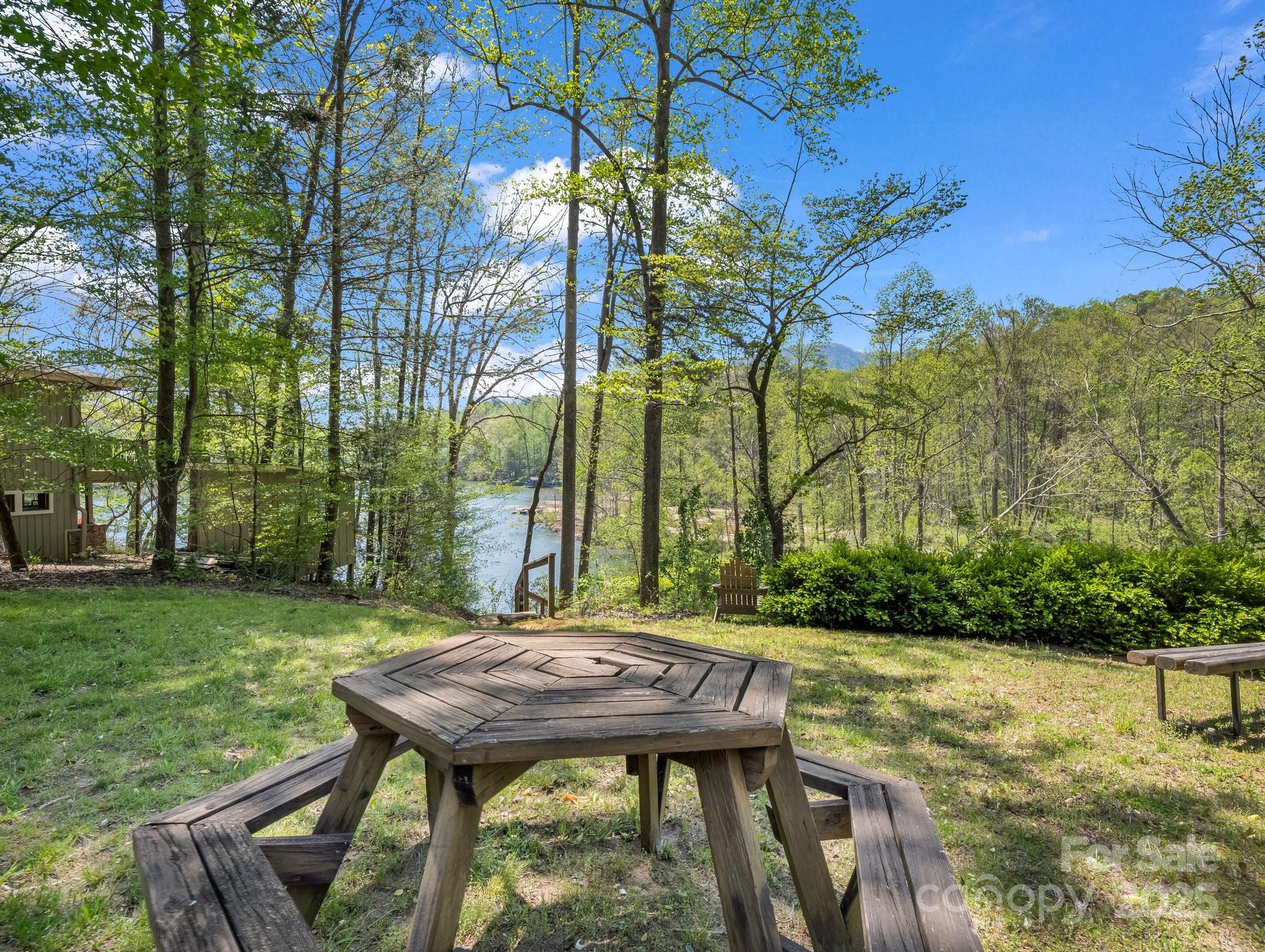 1973 Buffalo Creek Road Lake Lure, NC 28746 - Photo 6 of 44