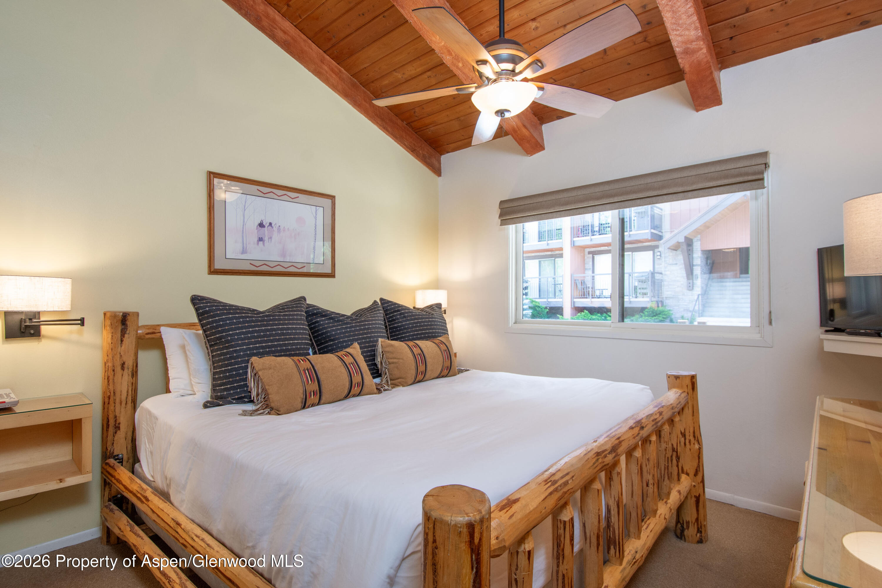 400 Wood Road, Unit 1204 Snowmass Village, CO 81615 - Photo 11 of 28 DSC_6089