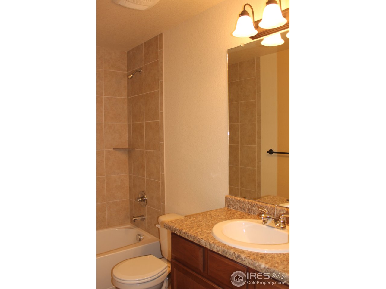 6987 Raleigh Street Wellington, CO 80549 - Photo 13 of 14 Gallery Image 13