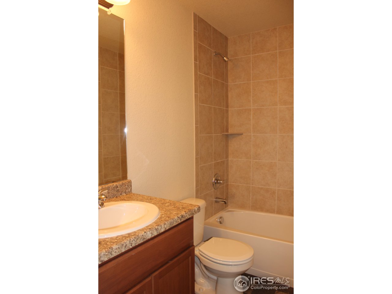 6987 Raleigh Street Wellington, CO 80549 - Photo 14 of 14 Gallery Image 14