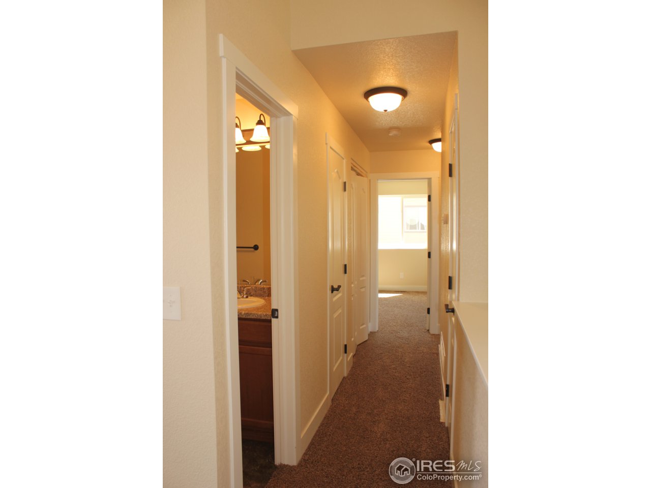 6987 Raleigh Street Wellington, CO 80549 - Photo 8 of 14 Gallery Image 8