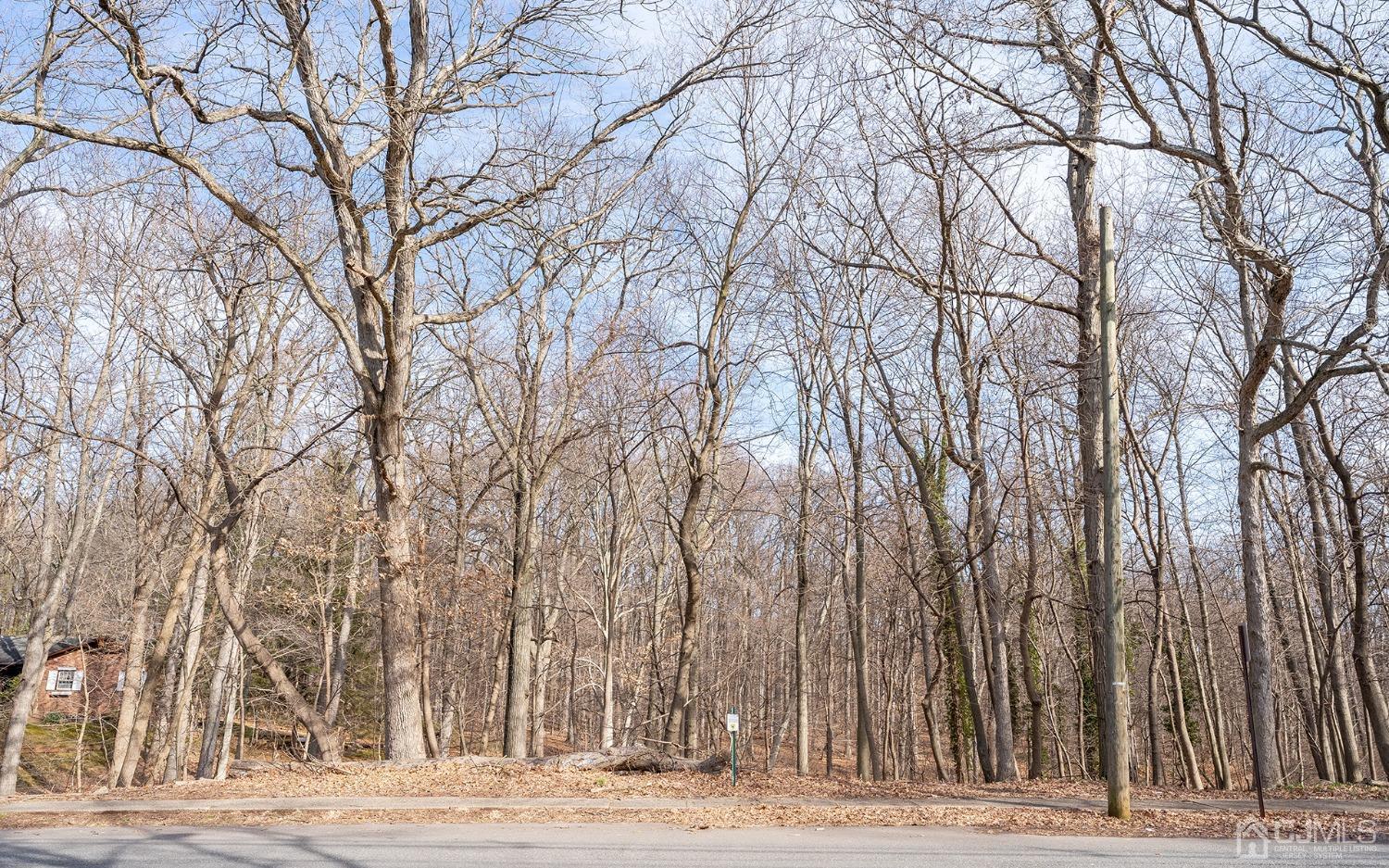 103 Alfred Street Edison, NJ 08820 - Photo 18 of 21 a view of a yard with large trees