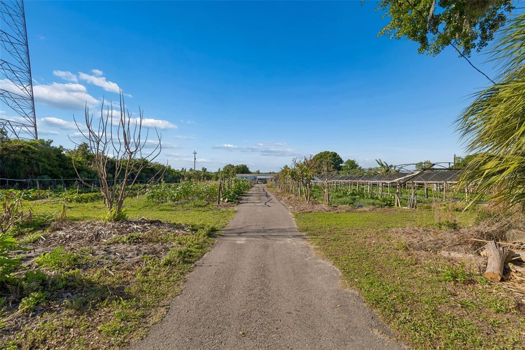 11101 Sumner Road Wimauma, FL 33598 - Photo 15 of 35 a view of a lake with a big yard