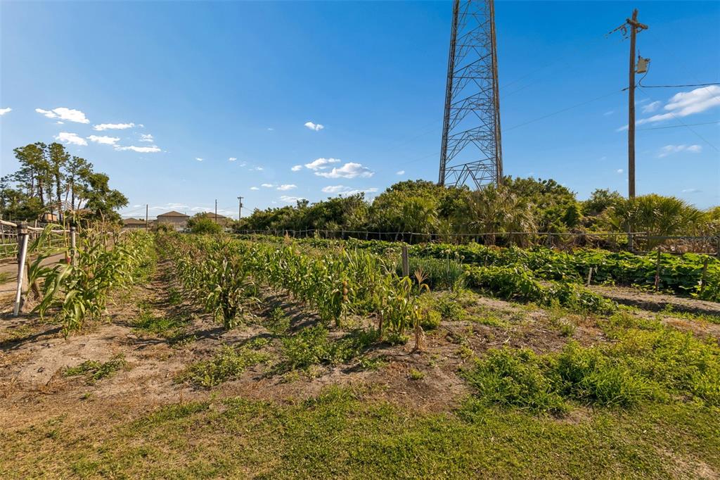 11101 Sumner Road Wimauma, FL 33598 - Photo 16 of 35