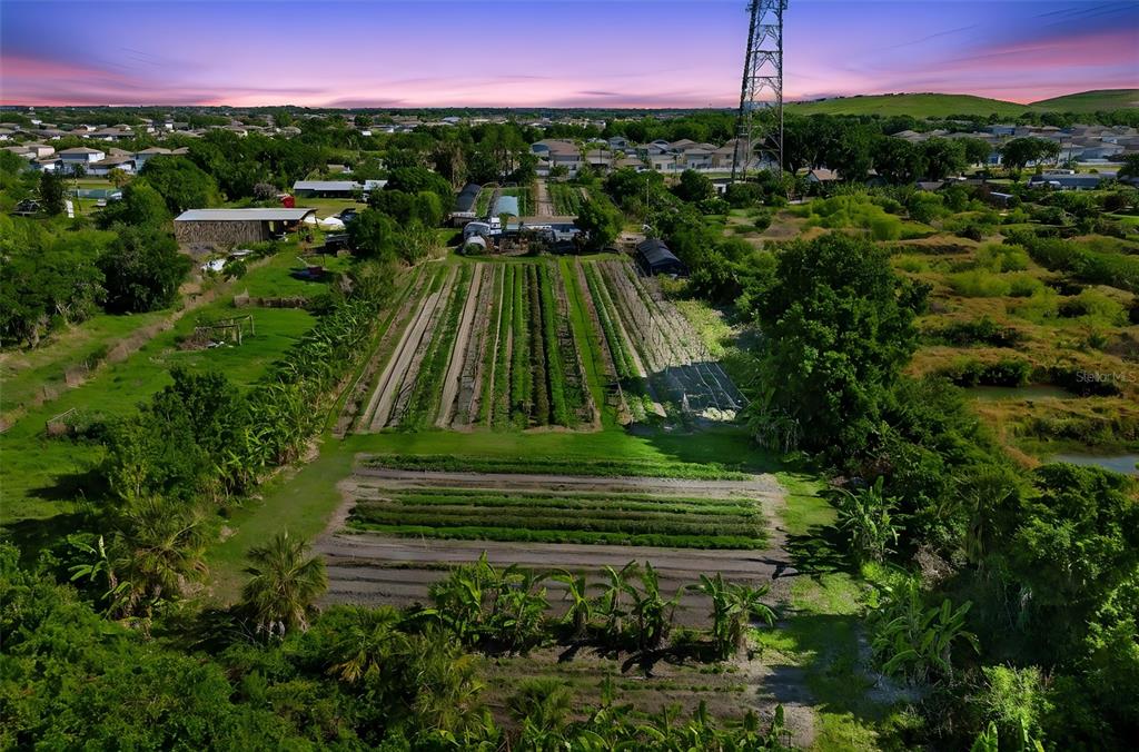 11101 Sumner Road Wimauma, FL 33598 - Photo 2 of 35