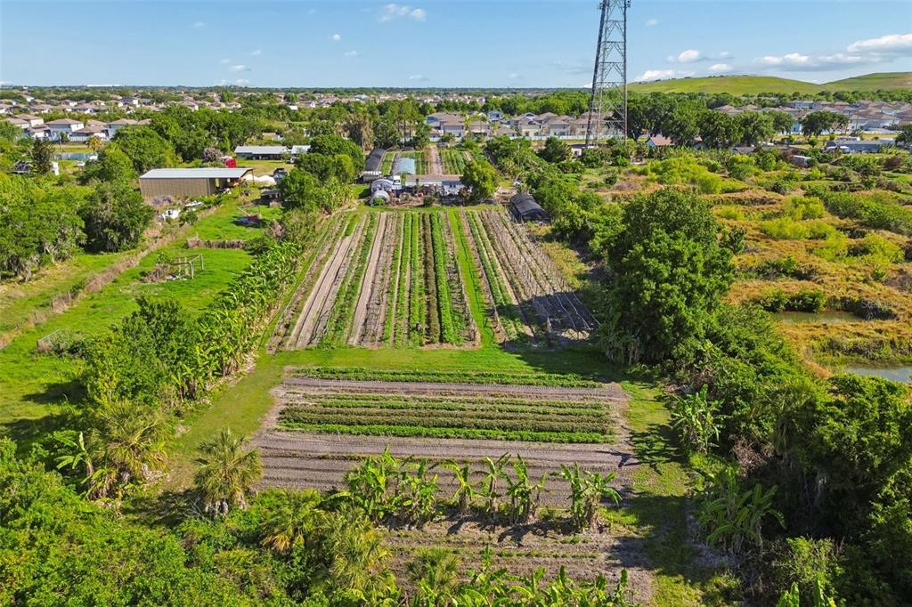 11101 Sumner Road Wimauma, FL 33598 - Photo 25 of 35 a view of a garden