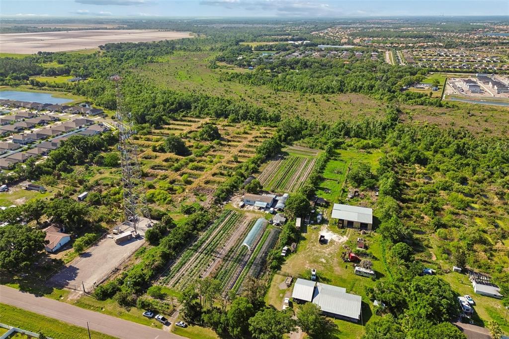 11101 Sumner Road Wimauma, FL 33598 - Photo 34 of 35 an aerial view of residential houses with outdoor space and trees