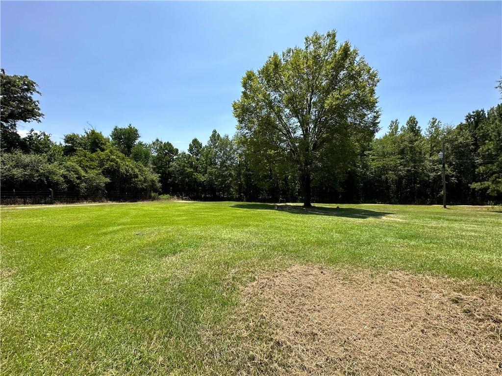 7651 Cedar Grove Road Robeline, LA 71469 - Photo 18 of 18 Gallery Image 18