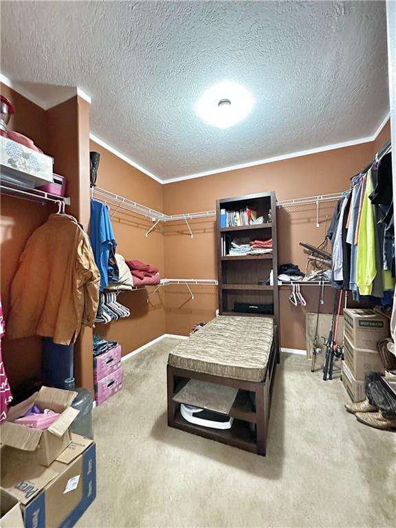 7651 Cedar Grove Road Robeline, LA 71469 - Photo 9 of 18 Gallery Image 9