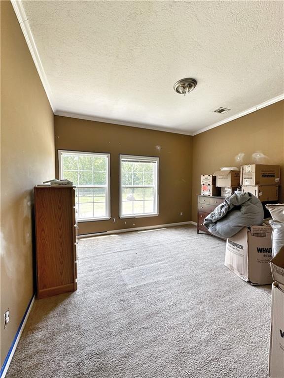 7651 Cedar Grove Road Robeline, LA 71469 - Photo 10 of 18 Gallery Image 10