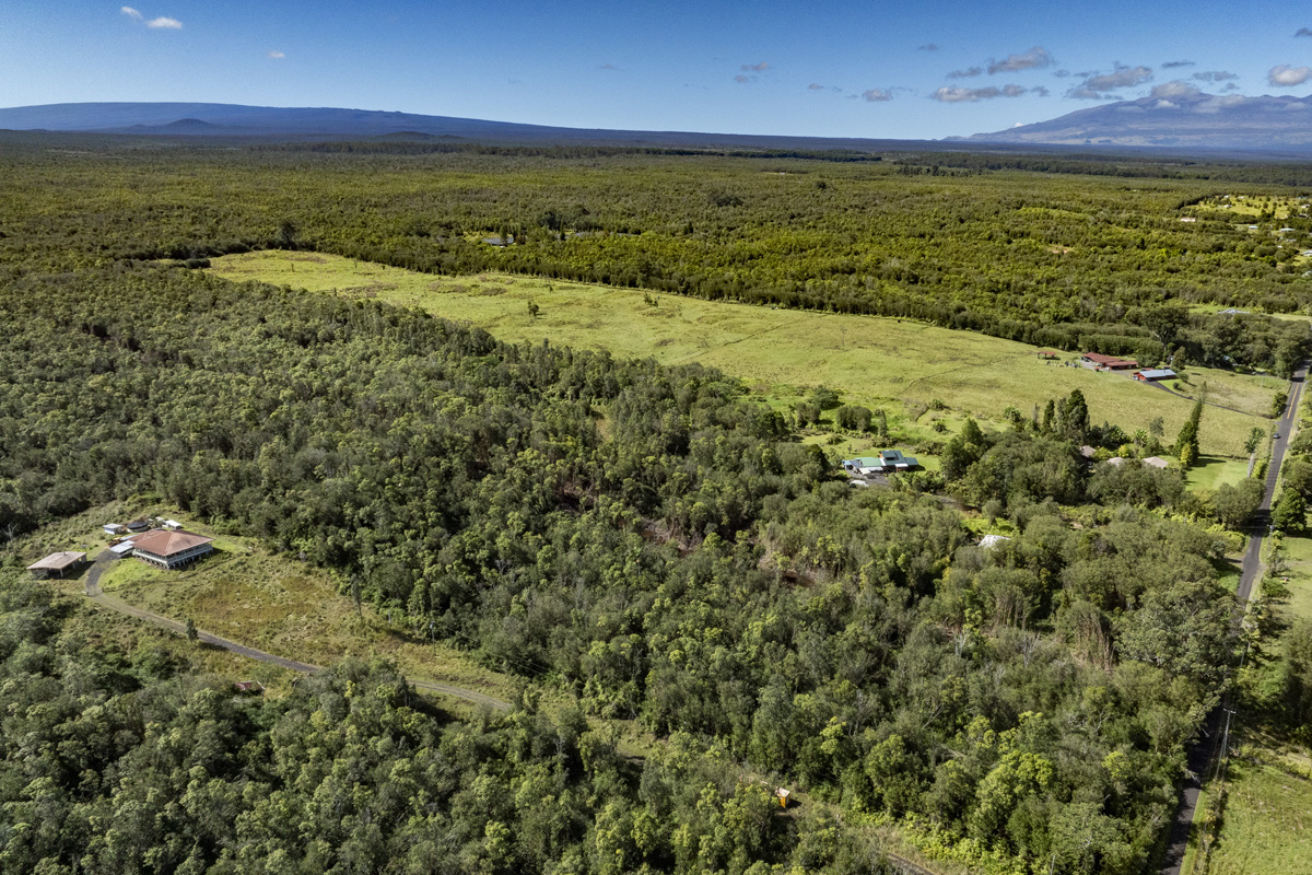 Peck Road Mountain View, HI 96771 - Photo 10 of 10