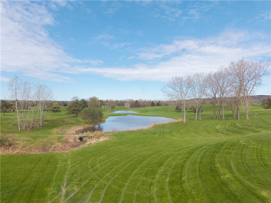 6130 South Livonia Road Conesus, NY 14435 - Photo 29 of 44