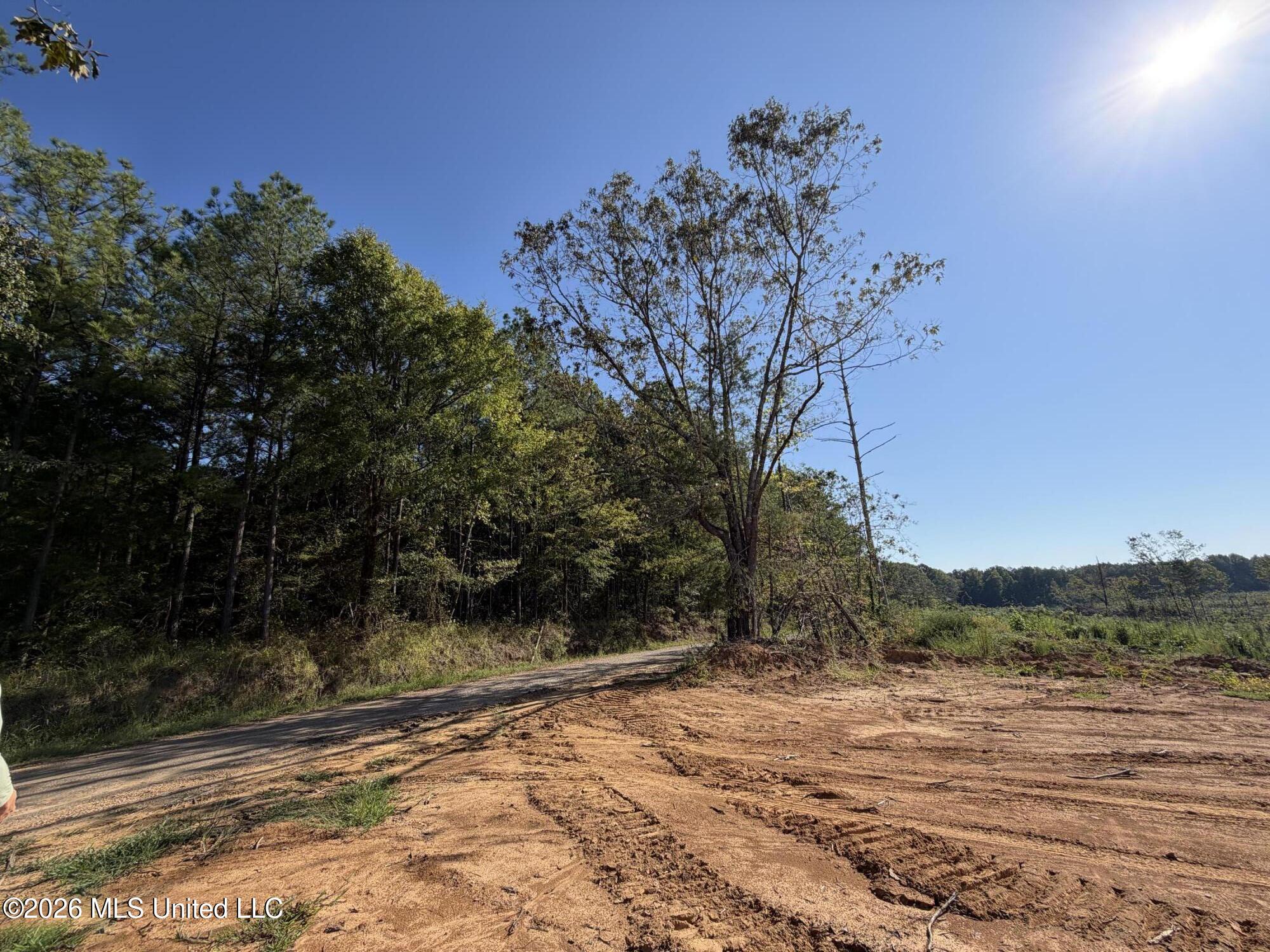 Cauthen Road Camden, MS 39045 - Photo 8 of 22 IMG_1452