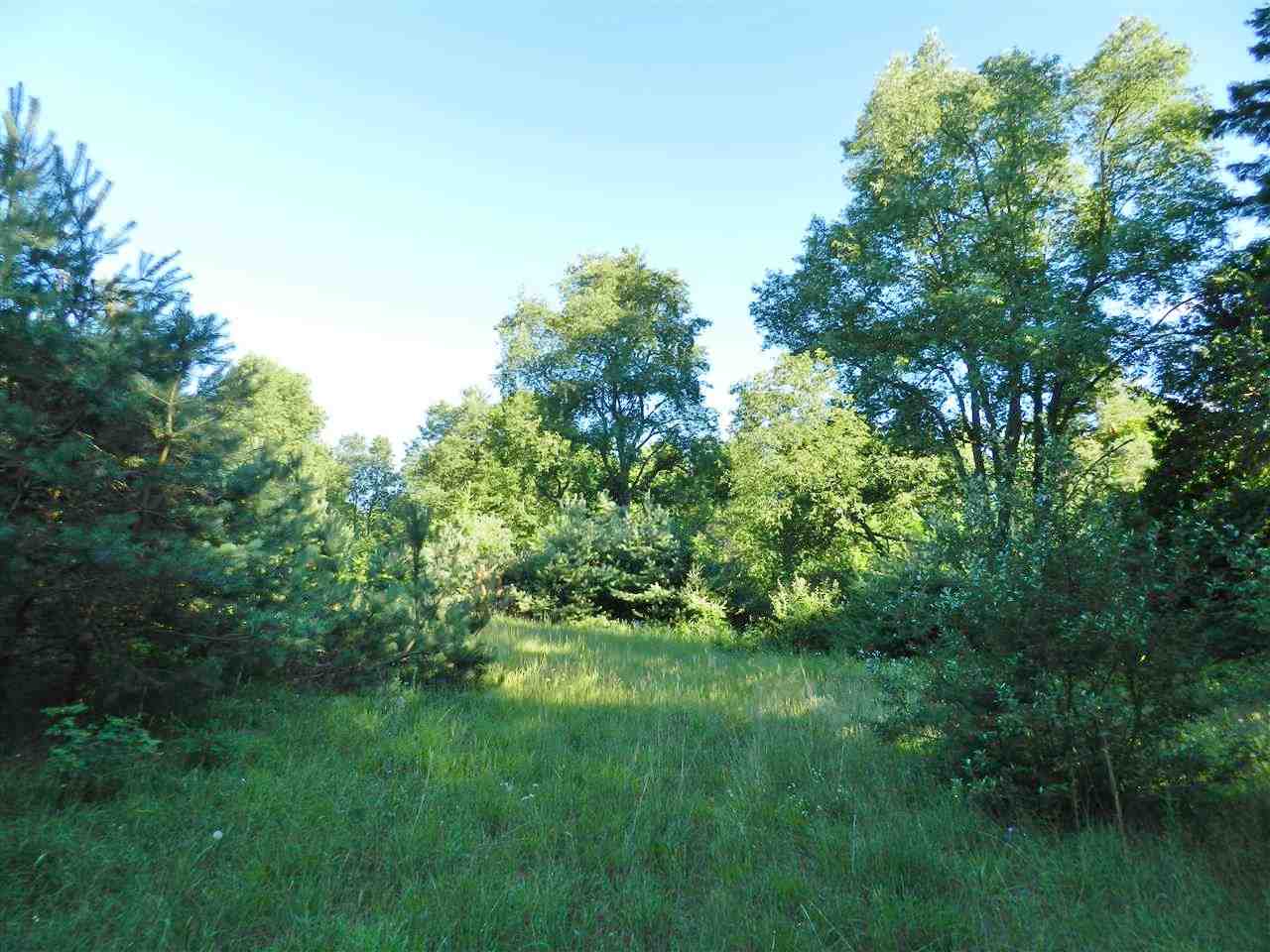 7529 Blue Road Southwest Fife Lake, MI 49633 - Photo 39 of 62 1865960-38.JPG