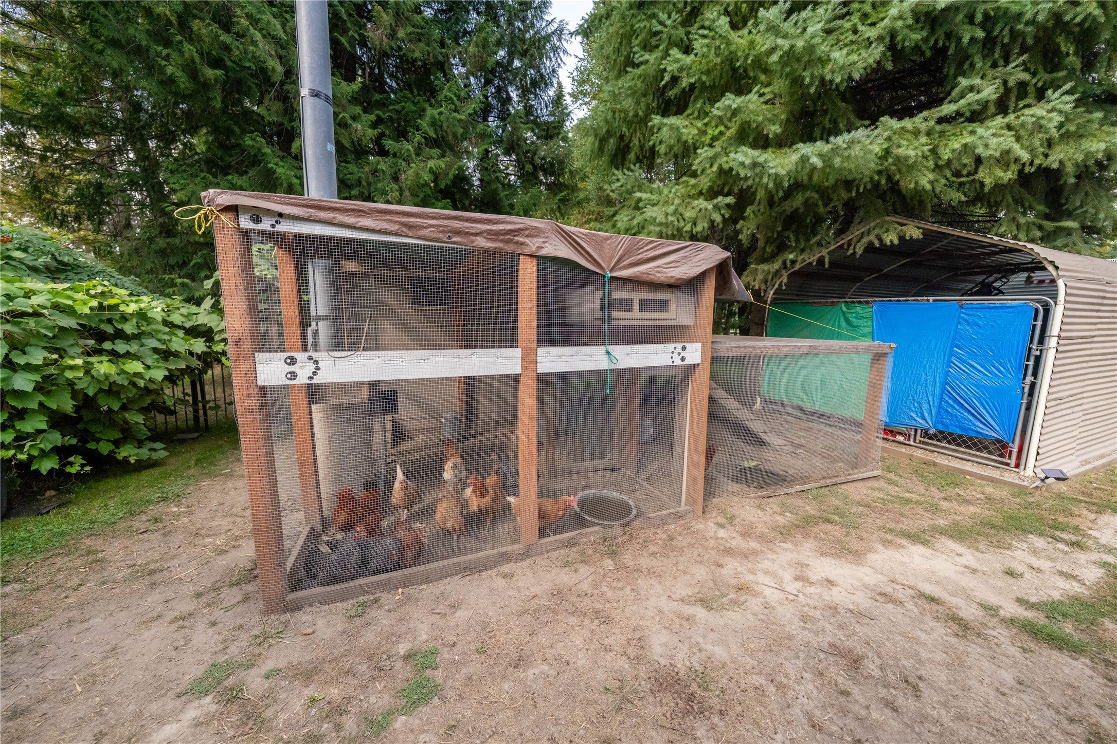 644 Waterfront Road Troy, MT 59935 - Photo 63 of 66 View of poultry coop featuring view of wooded area