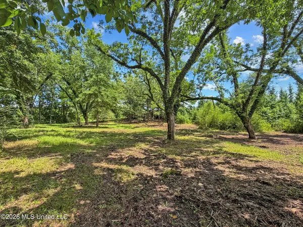$184,475 | 13 Co Road, Louin, MS 39338