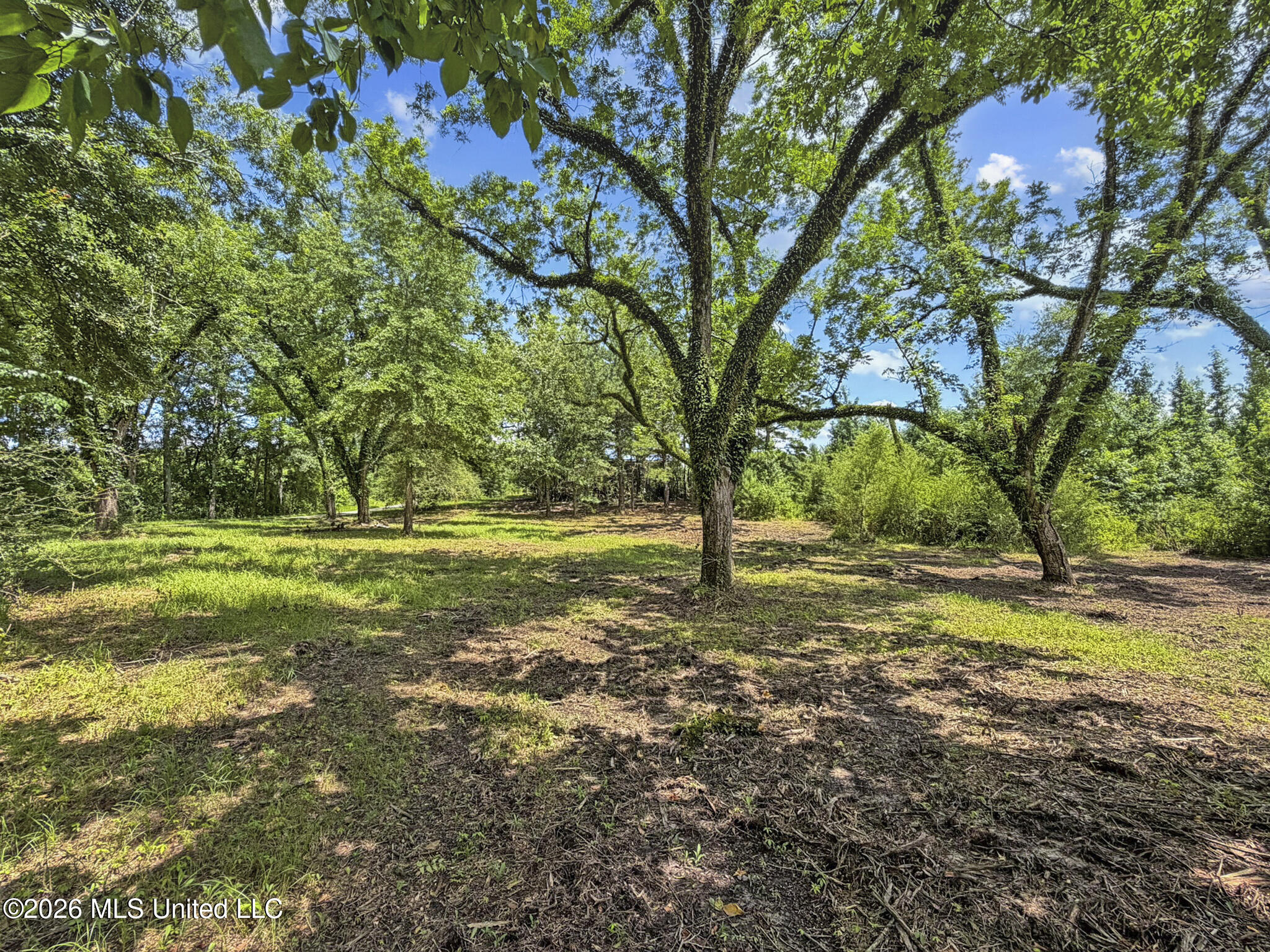 13 Co Road Louin, MS 39338 - Photo 1 of 29 IMG_3463