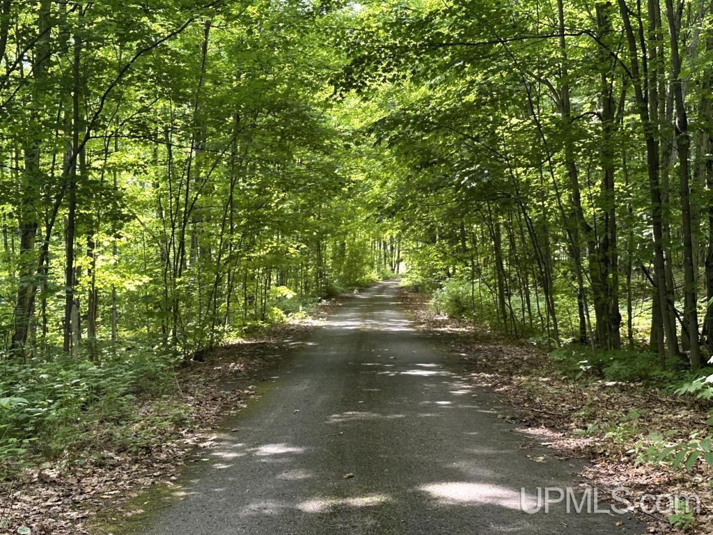 0 County Road 553 Road Marquette, MI 49855 - Photo 33 of 38