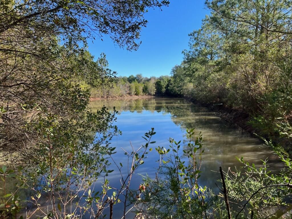 0 Leavins Road Chipley, FL 32428 - Photo 1 of 7 a view of a lake with lots of trees