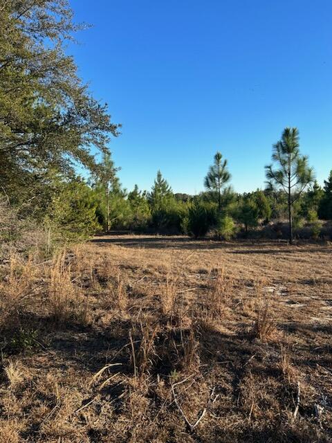 0 Leavins Road Chipley, FL 32428 - Photo 3 of 7 a view of a outdoor space