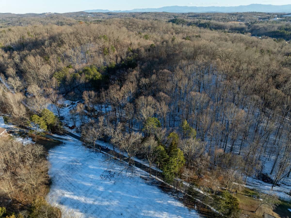 0 Randles Road Strawberry Plains, TN 37871 - Photo 6 of 6 photo 9