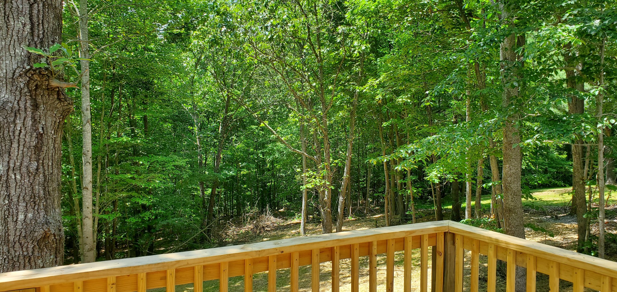 678 Hog Back Ridge Road Bethpage, TN 37022 - Photo 2 of 9 a view of a balcony with trees