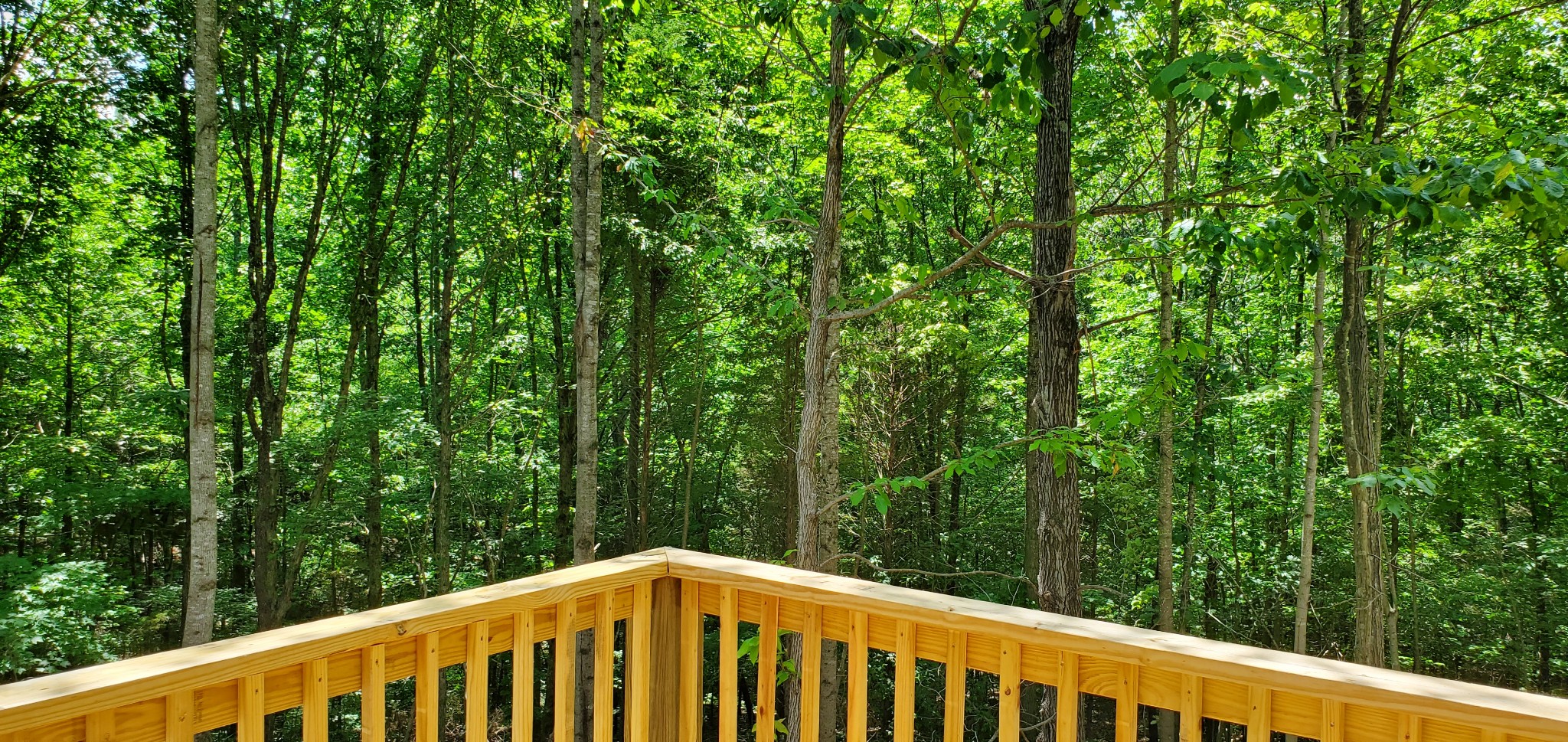 678 Hog Back Ridge Road Bethpage, TN 37022 - Photo 3 of 9 a view of a balcony