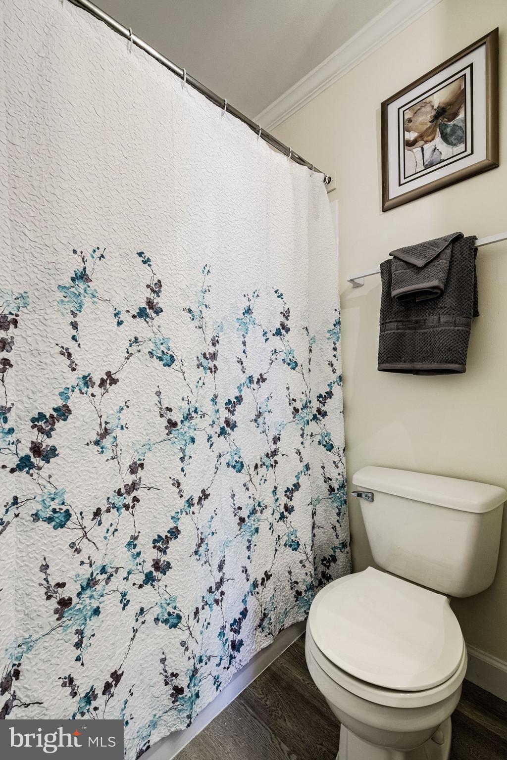 105 Rees Place Falls Church, VA 22046 - Photo 27 of 60 Bathroom One in the Third Floor