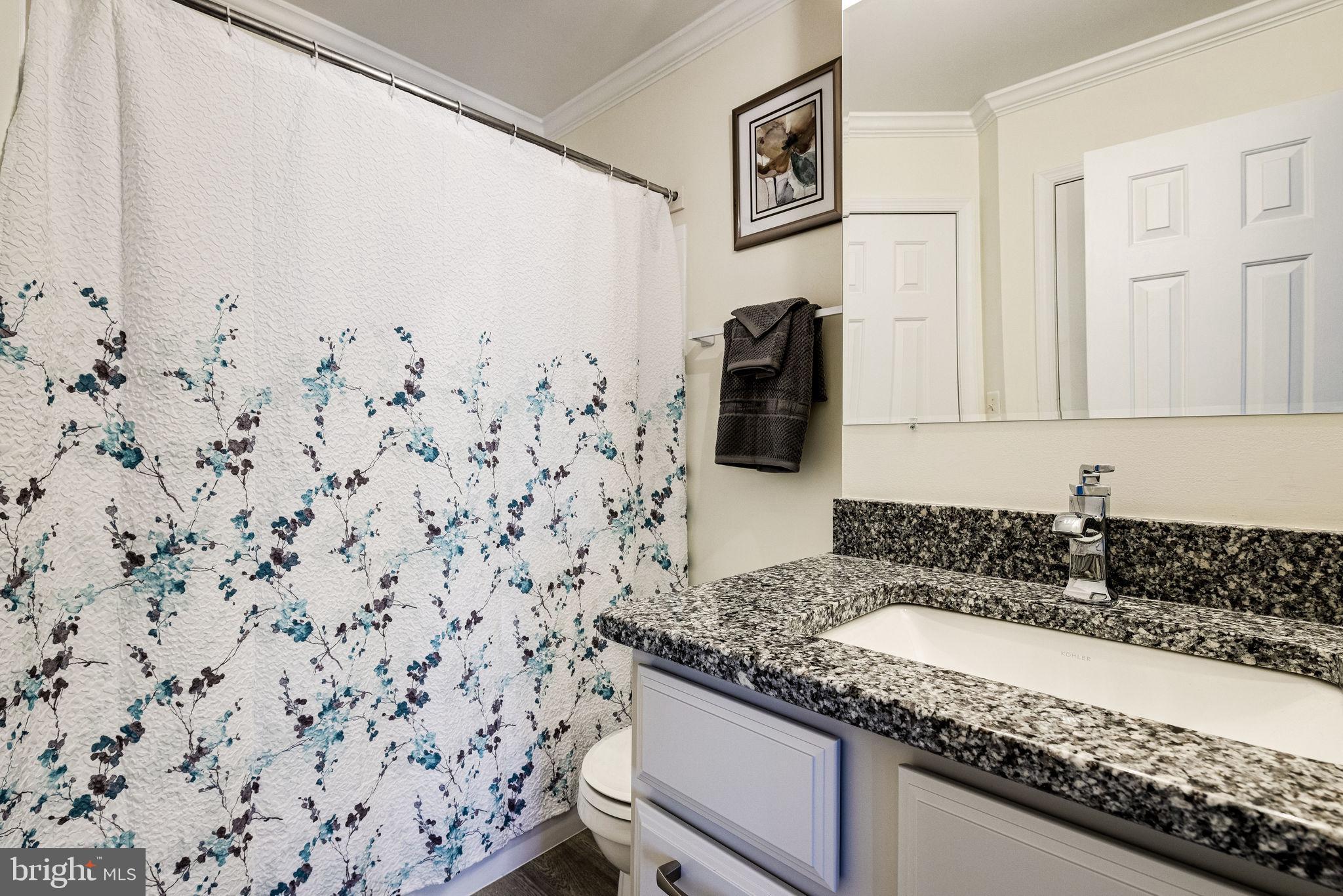 105 Rees Place Falls Church, VA 22046 - Photo 28 of 60 Bathroom One with New Vanity