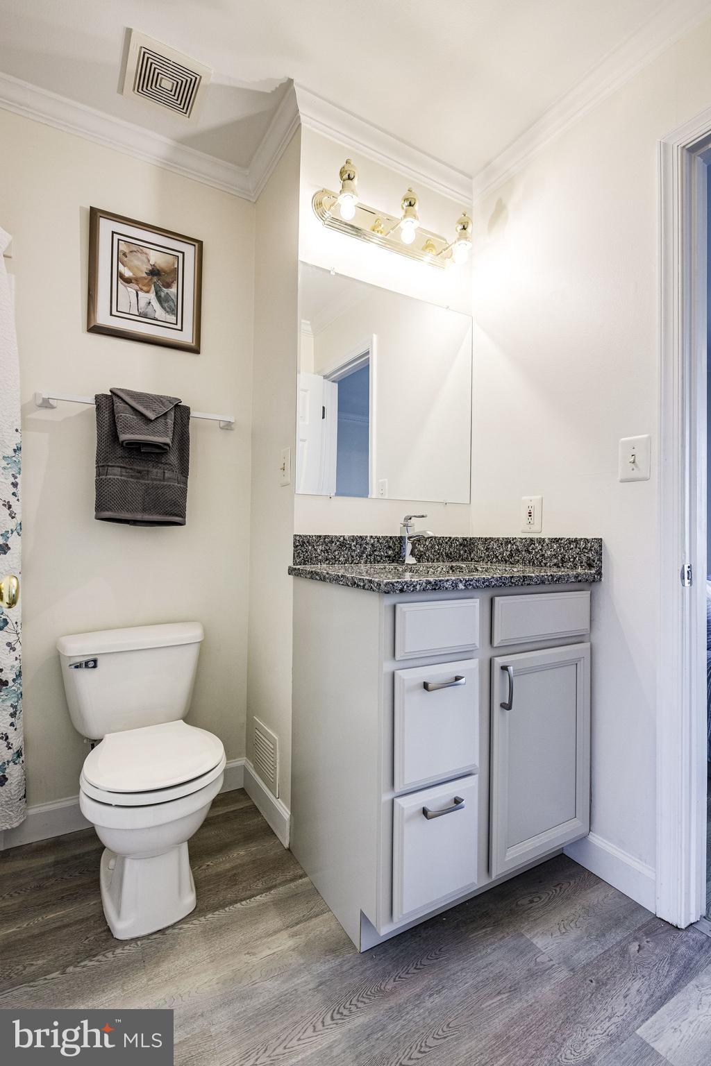 105 Rees Place Falls Church, VA 22046 - Photo 32 of 60 Bathroom One w/ New Flooring