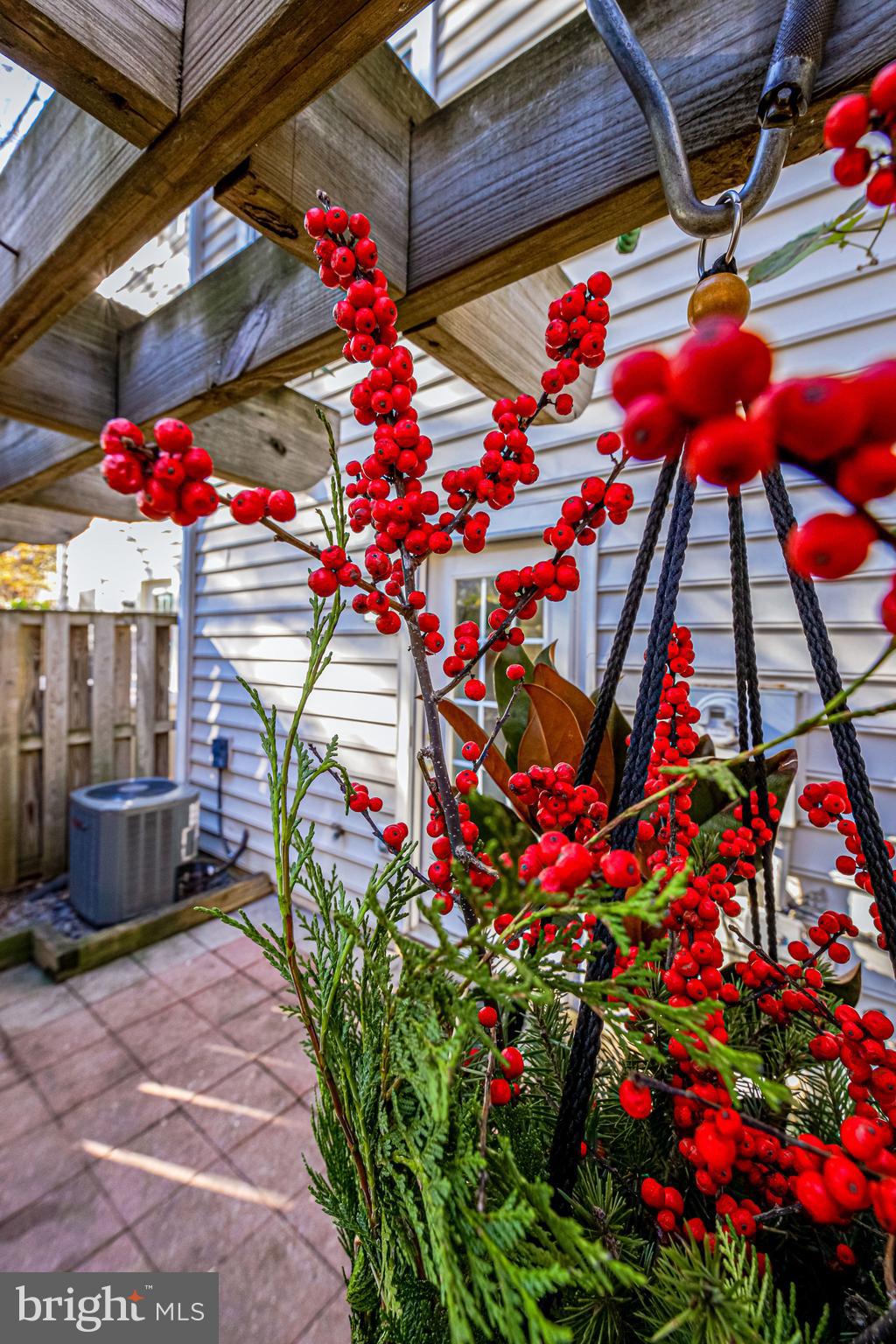 105 Rees Place Falls Church, VA 22046 - Photo 58 of 60 Fully Fenced Patio with Pergola