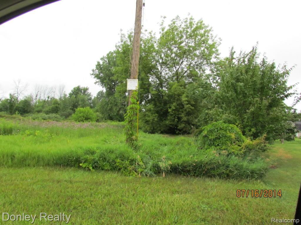 9999 Rossman Road Kingston, MI 48741 - Photo 3 of 3 Rossman Rd (3).jpg