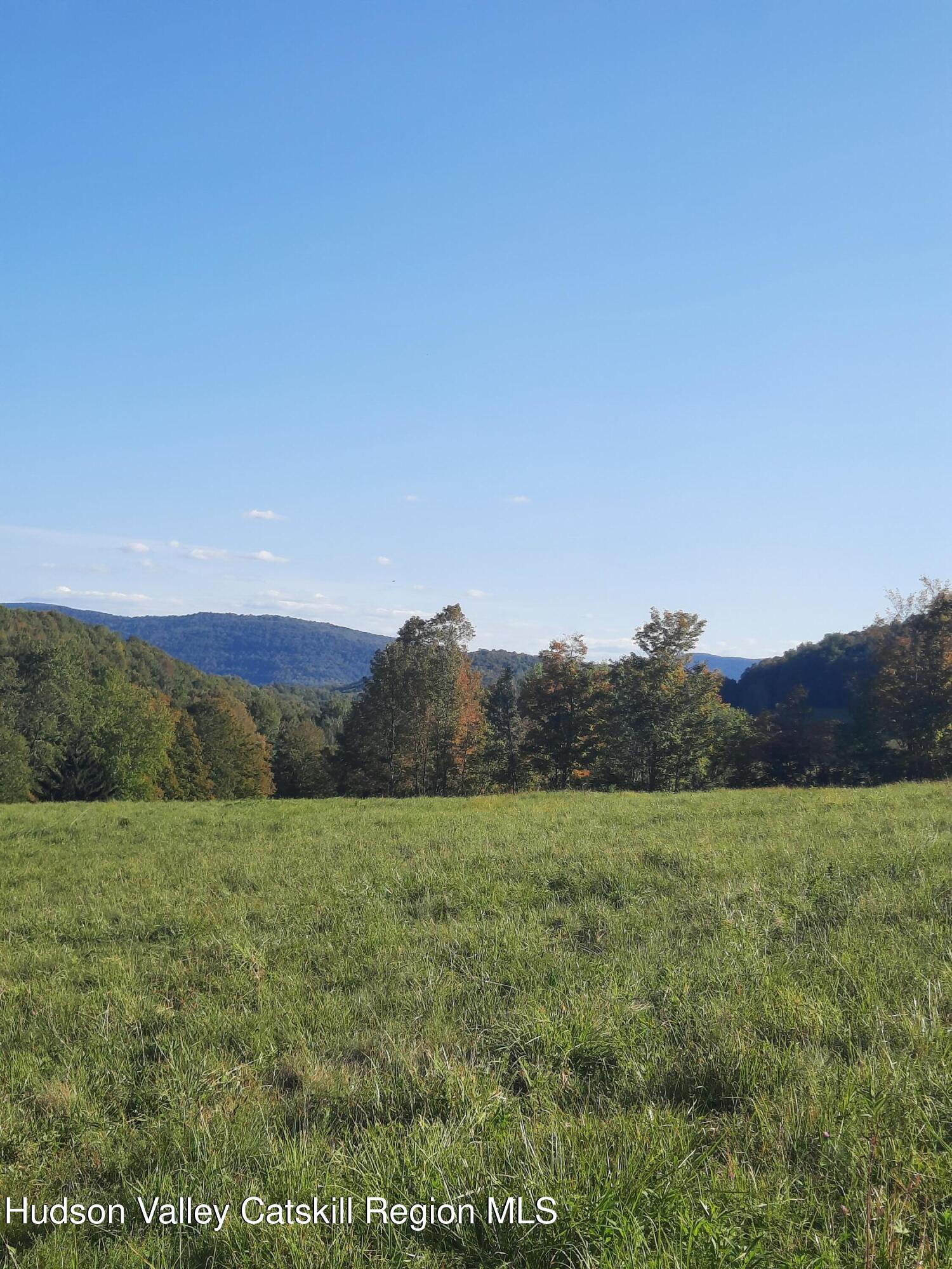 Tbd Upper Dingle Hill Road Andes, NY 13731 - Photo 27 of 44 20250911_165415