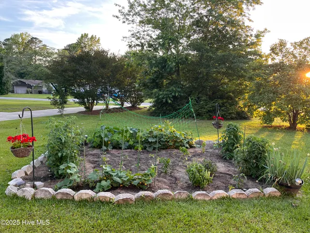 $300,000 | 100 Louis Street, Greenville, NC 27858