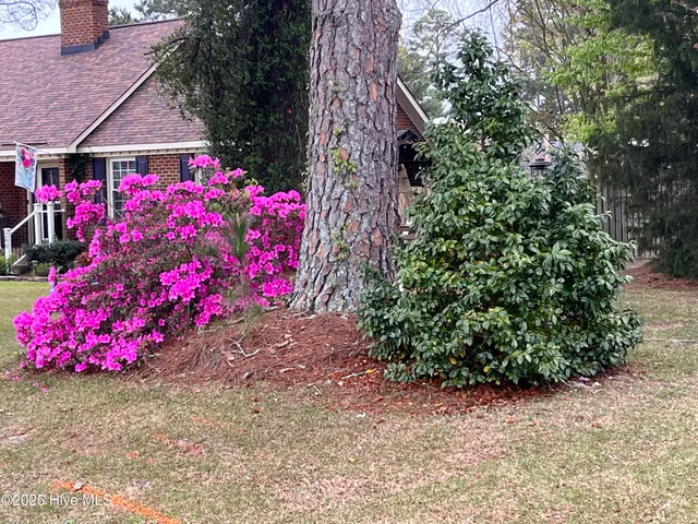 $300,000 | 100 Louis Street, Greenville, NC 27858