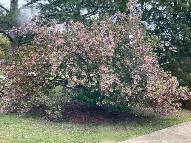 $300,000 | 100 Louis Street, Greenville, NC 27858