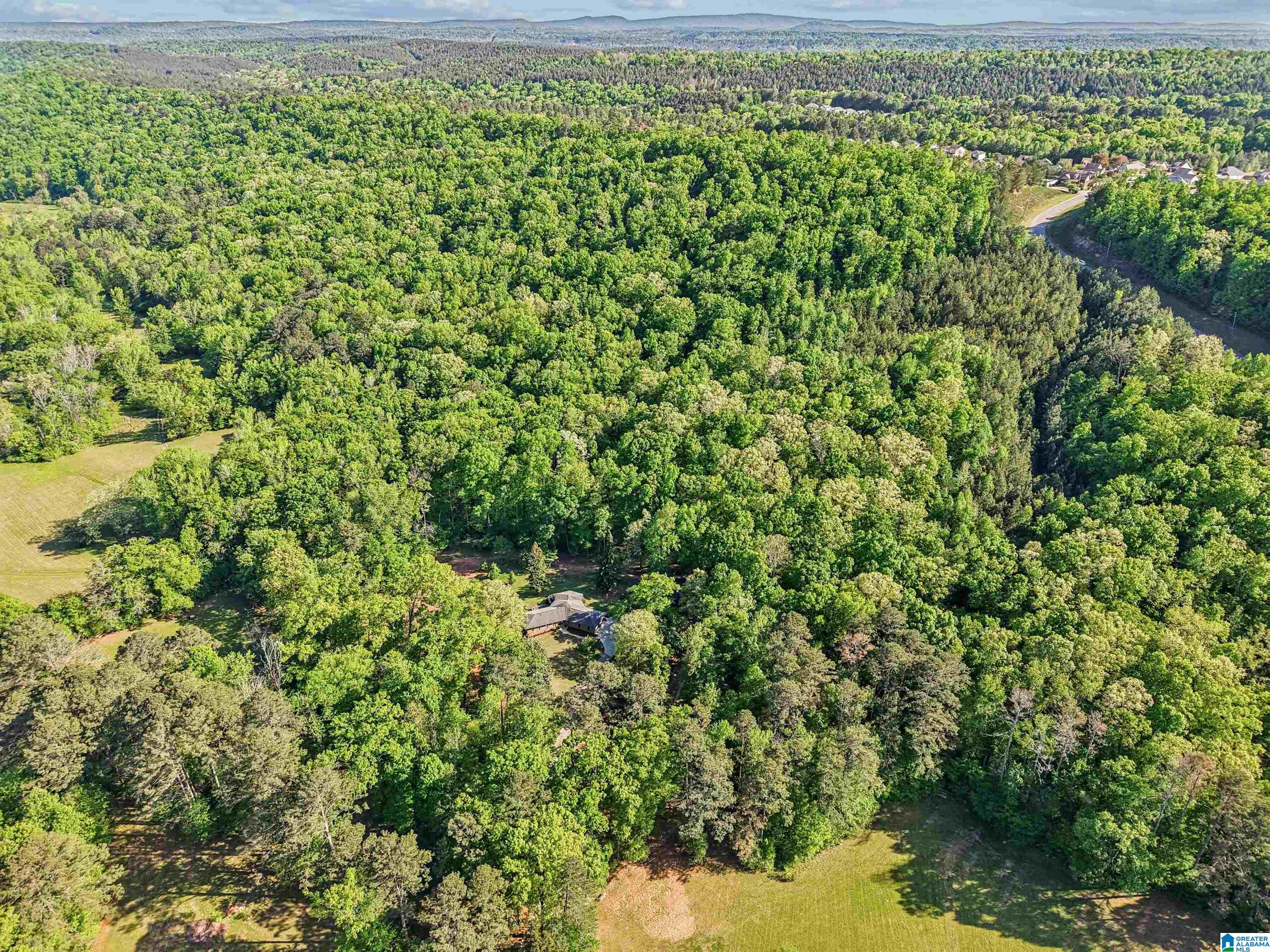 1680 Highway 174 Springville, AL 35146 - Photo 22 of 97