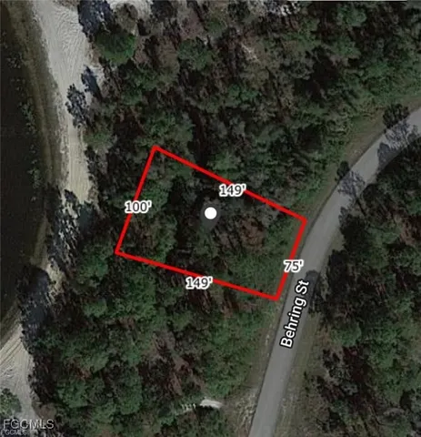 an outdoor space with lots of trees and flowers