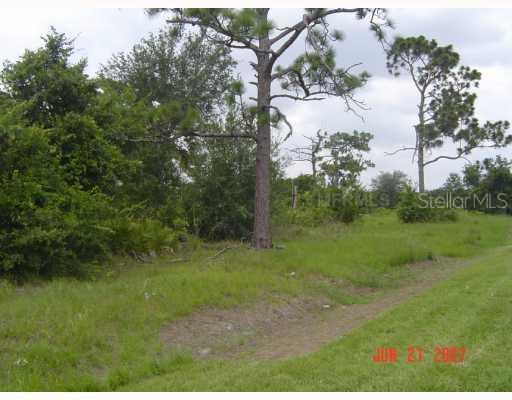 a view of a field of grass and trees