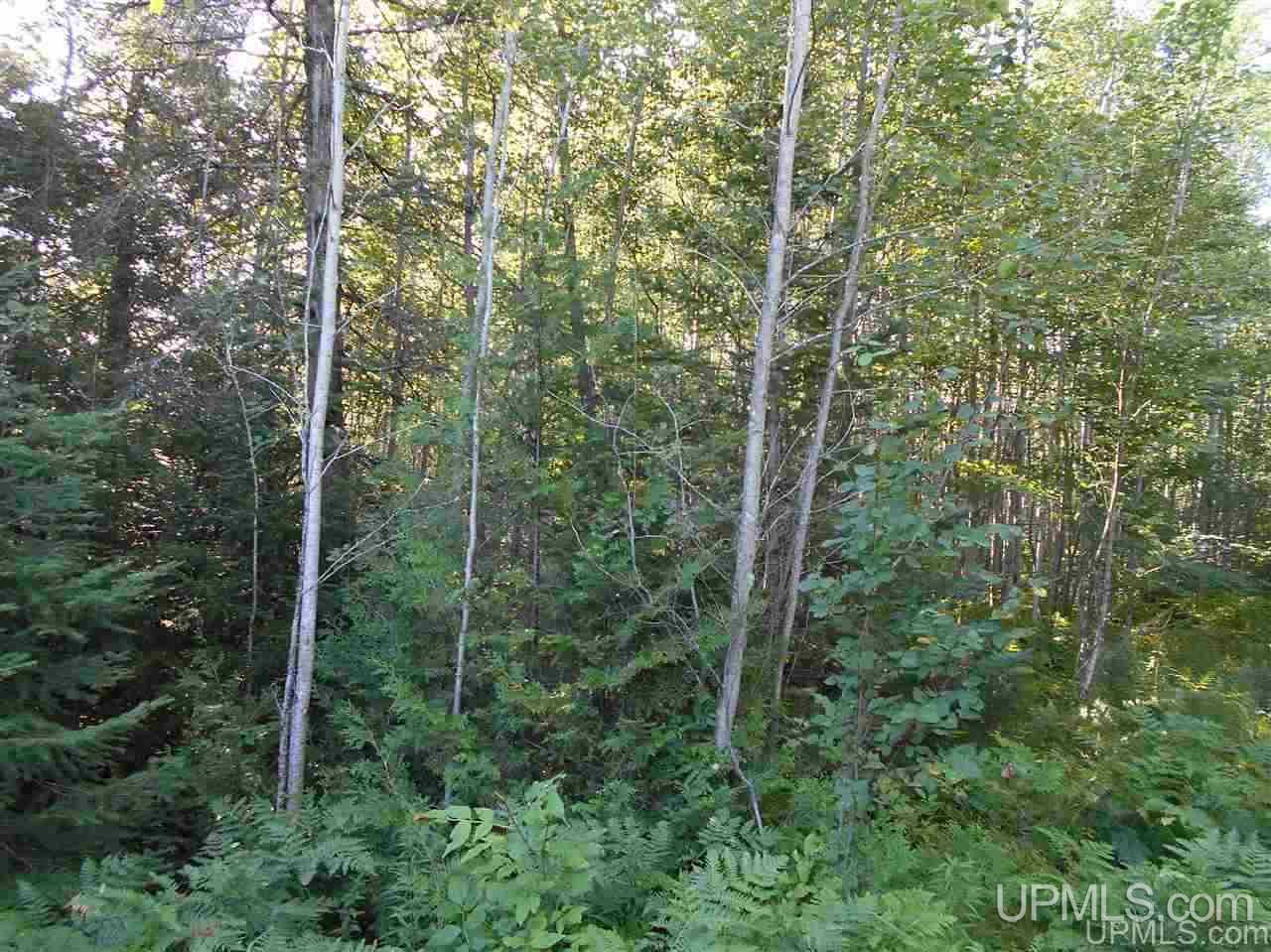 Tbd Lustila Road Germfask, MI 49836 - Photo 24 of 24 Gallery Image 24